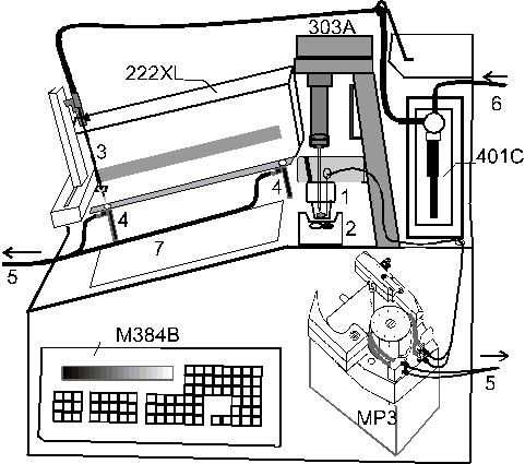 Aufbau des digitalen Voltammetriesystems PAR Auto 384 B